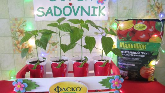 Квадро Ред+SUPERSADOVNIK+Фаско=Отличный урожай!!!!!