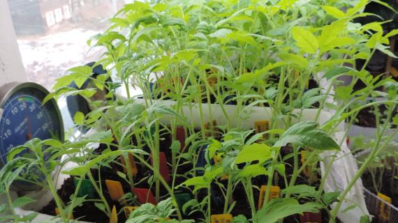 Ждём тепла.