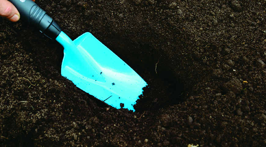 Цветник Цветник