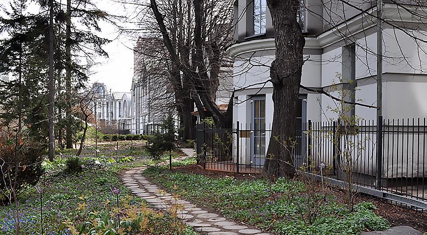 аптекарский огород в апреле