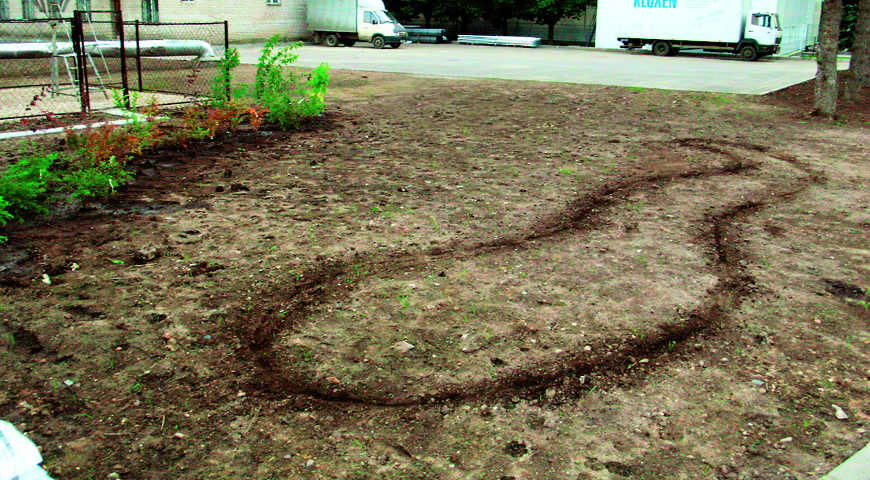 Цветник Цветник