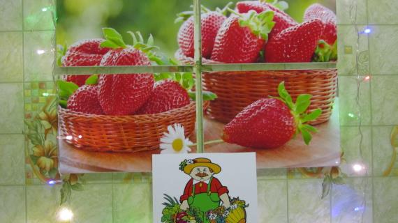 Декор для кухни "Клубника"!!!
