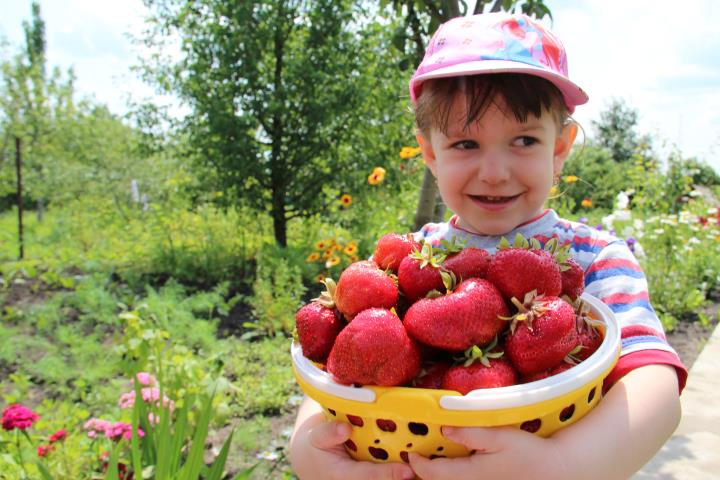 Наш урожай 