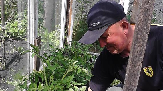 Скоро-скоро у меня будут свои помидоры!