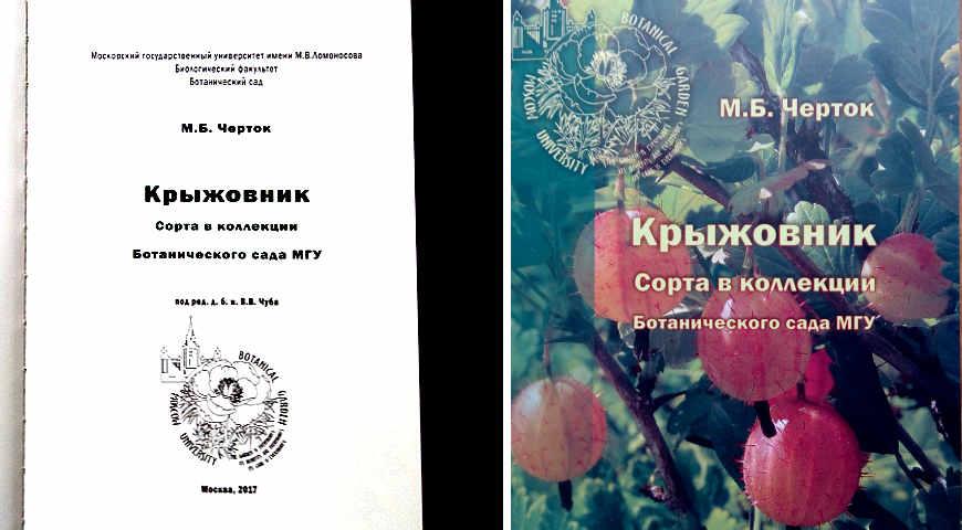 книга о крыжовнике