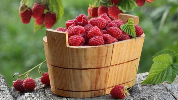 Малина: 9 вкусных рецептов