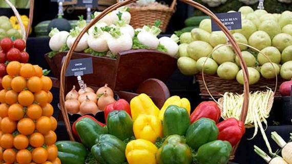 Сроки созревания урожая: ускоряем процесс
