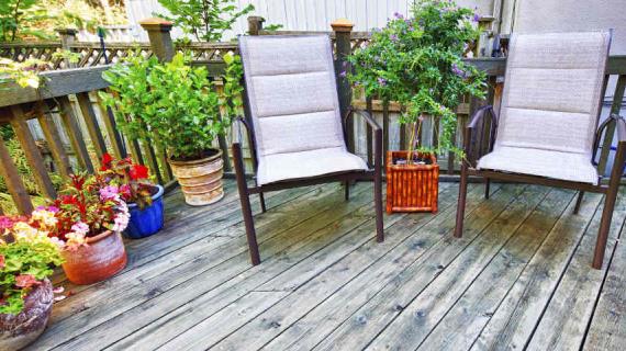 Красивая веранда: контейнерные растения для украшения веранды, патио, беседки