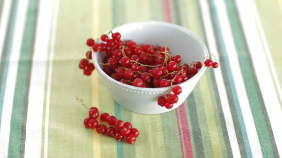 Смородина: способы сбора, хранения и рецепты приготовления