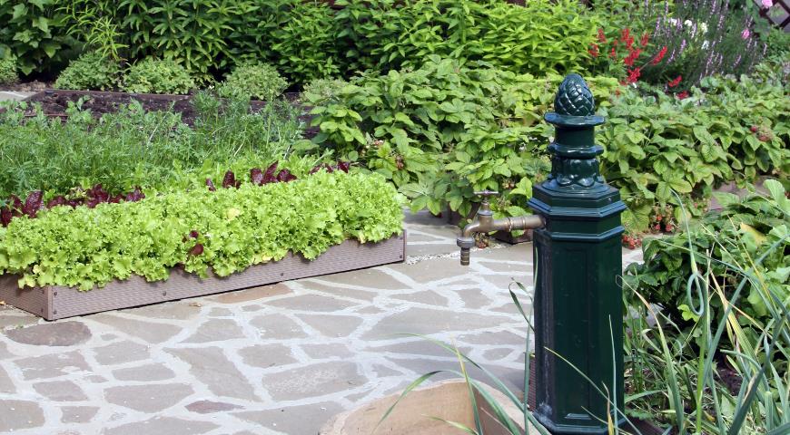 декоративный огород; колонка для полива растений в огороде