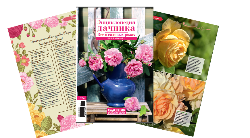 Книга-журнал "Все о садовых розах"