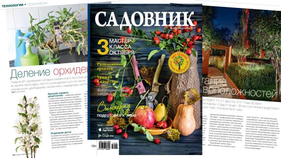 Журнал Садовник № 10 (145) октябрь 2017