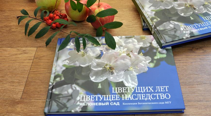 книга Кочешковой 