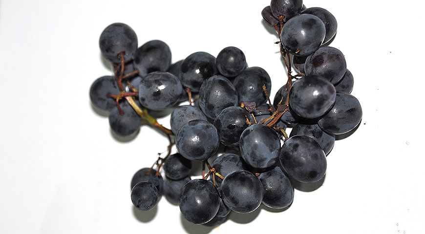 плоды, выставка МОИП, сорта винограда
