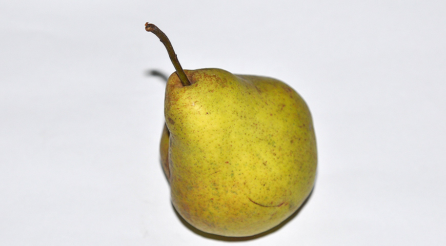 плоды, выставка МОИП, сорта груш