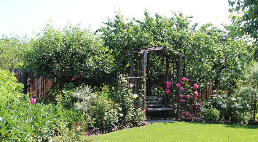 сад Локшиной, дизайн сада, ландшафтный дизайн, садовая мебель, отдых в саду, зона отдыха, газон