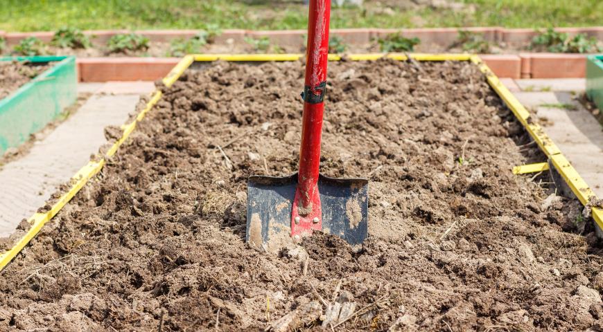 грунт, почва, огород, грядка, лопата, садовый инструмент, перекопка почвы