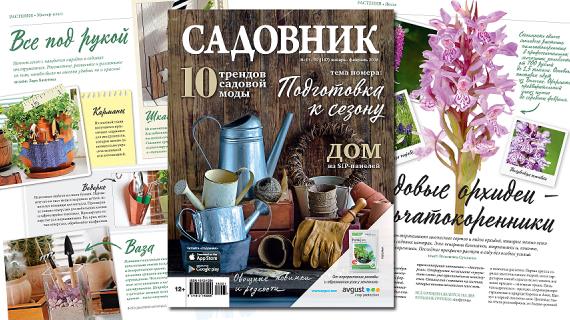 Журнал "Садовник", июнь 2016 №6 (133) на Supersadovnik.ru