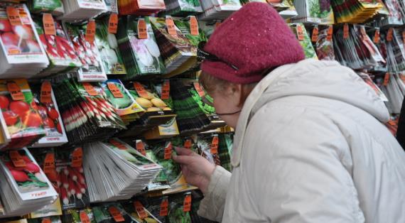 Власти наводят порядок в семеноводстве: что будет с ценой на семена?