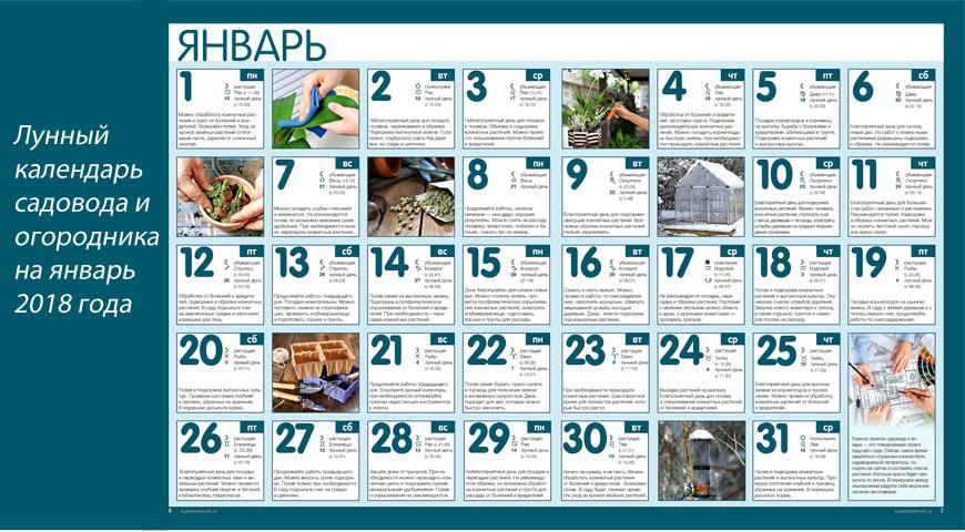 календарь на январь 2018