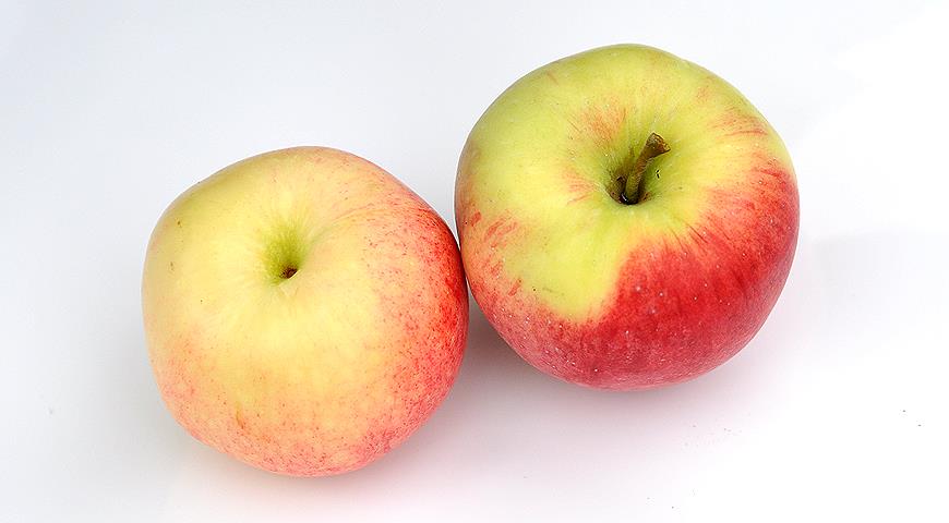 Самые лучшие сорта яблок: посадка и уход