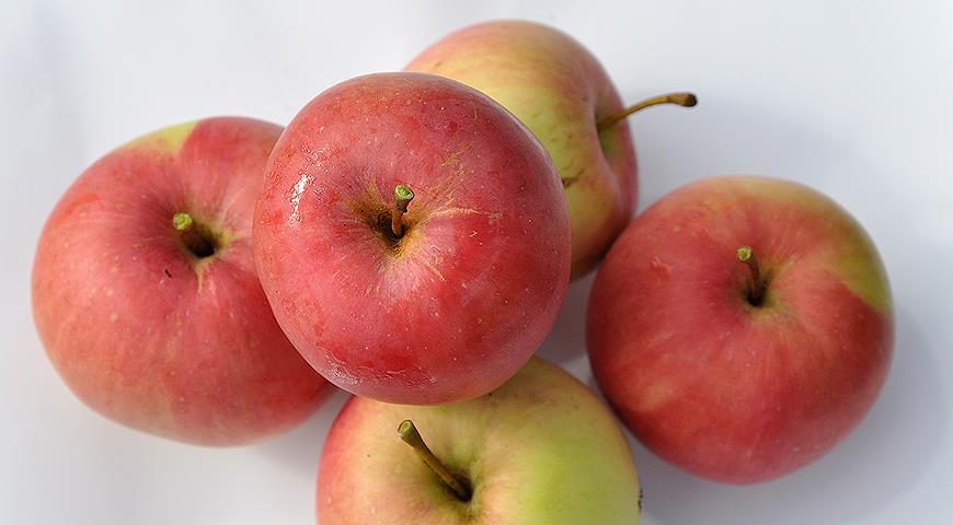 Какой сорт яблони лучше?