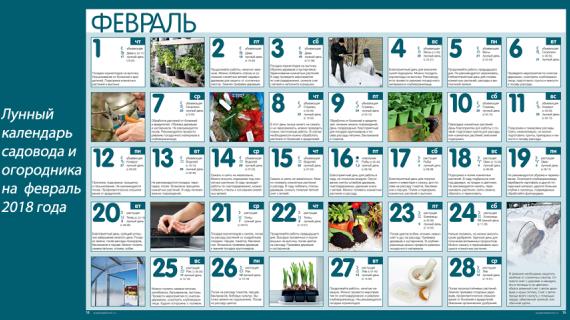 Лунный посевной календарь на февраль 2018 год