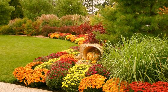 Открыта запись на семинар Елены Константиновой