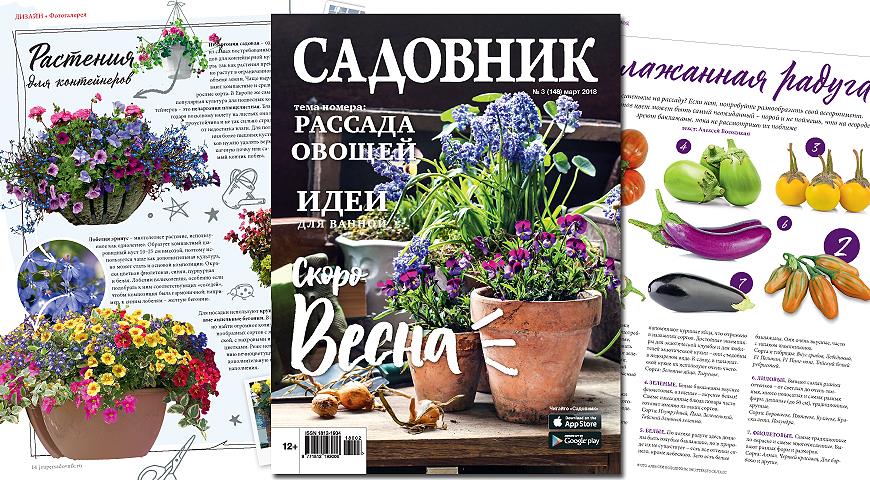 журнал садовник