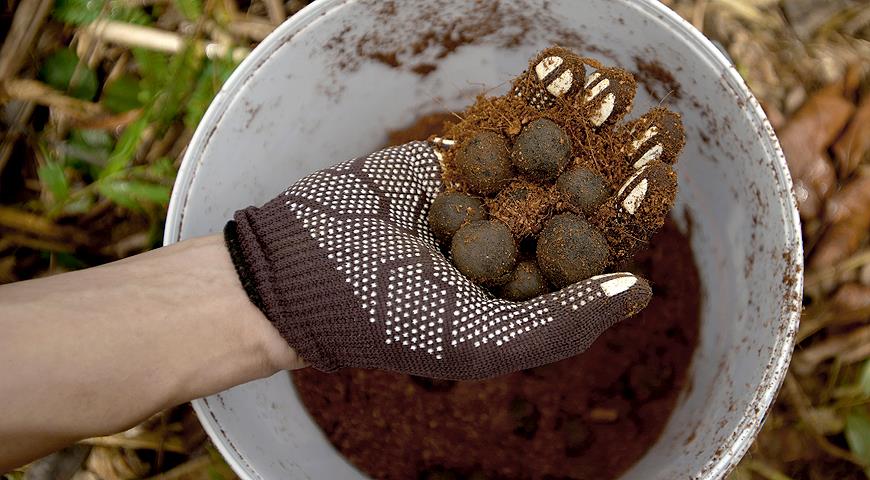 seed balls, семенная бомба, партизаны, семена