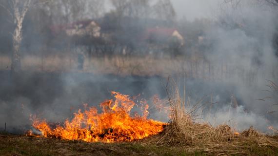 За поджог сухой травы дачникам может грозить до 10 лет тюрьмы