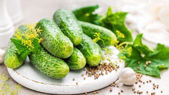 Выбираем самые вкусные и урожайные огурцы: для засолки, салатов и выращивания дома