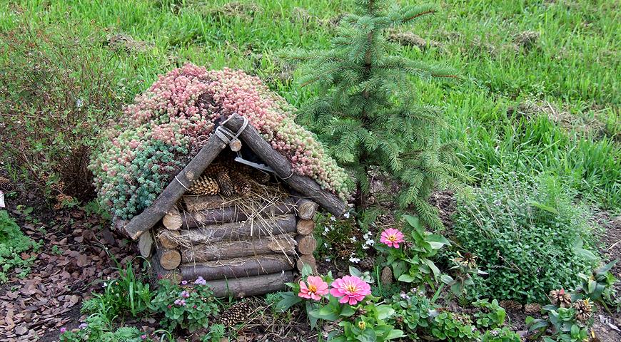 Дача Посадки Фото