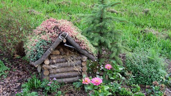 Необычные способы посадки обычных растений или как удивить соседей по даче