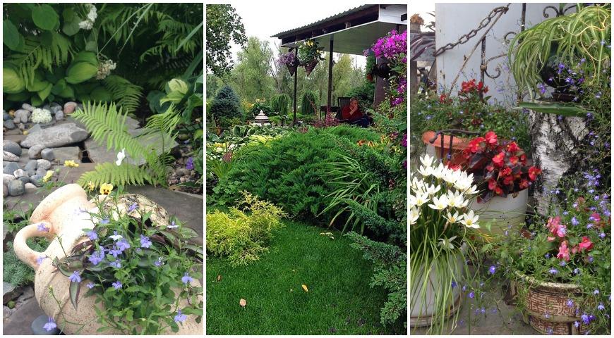 садовый декор, контейнер, комнатные растения, хоста, теневой цветник, подвесные кашпо, пейзажный стиль, сад, дизайн сада, Ульянова