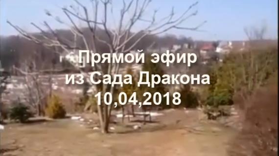 Прямой эфир из Сада Дракона 10 апреля 2018г