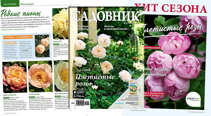 июньский журнал садовник
