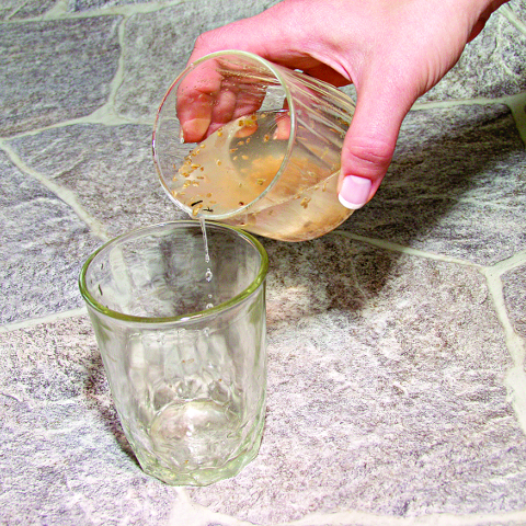 Как получить свои семена томатов. Шаг 4 Как получить свои семена томатов. Шаг 4