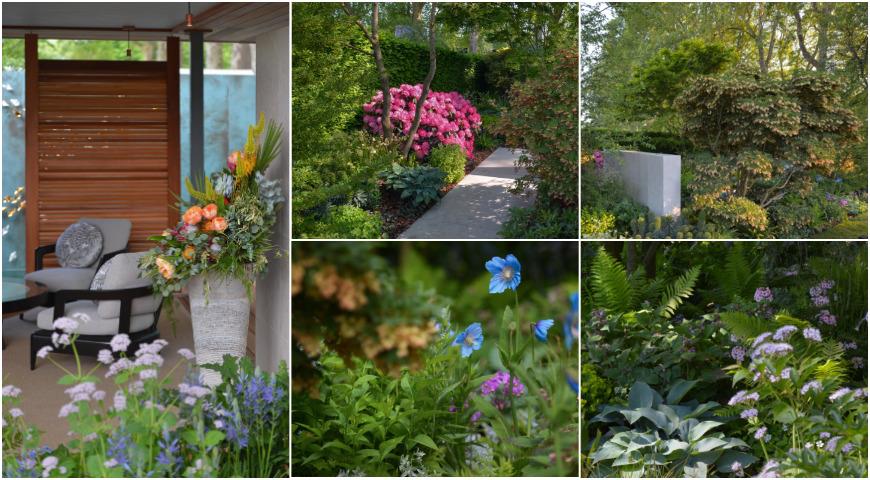 Объявлены 12 выставочных садов Челси 2023 