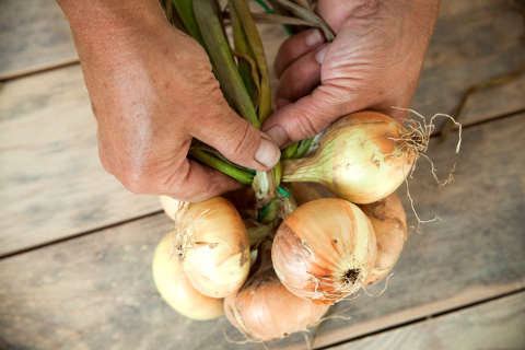 Хранение лука: как плести косы. Шаг 3