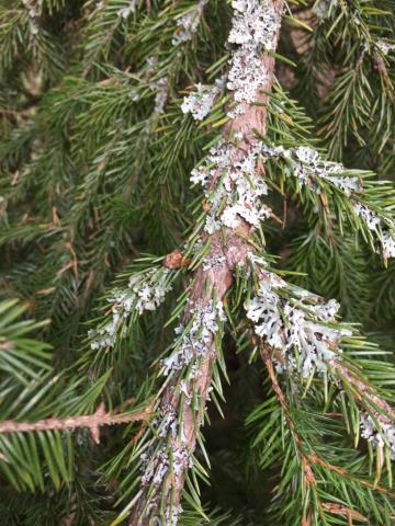 Вопрос эксперту 