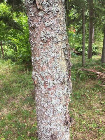 Вопрос эксперту 2