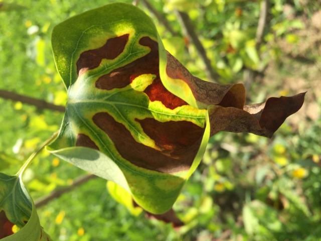 Вопрос эксперту 2