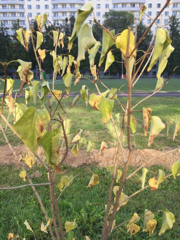 Вопрос эксперту 