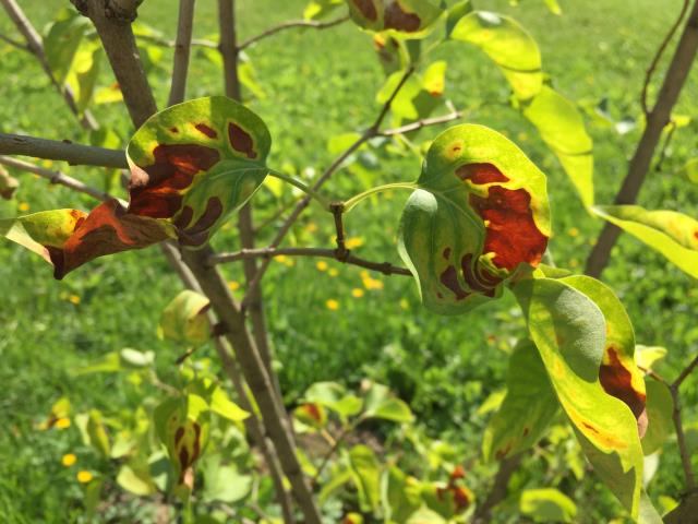 Вопрос эксперту 4