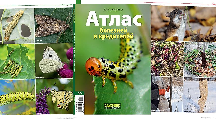 Книга-журнал октябрь 2018 (32) Тема выпуска: Атлас болезней и вредителей