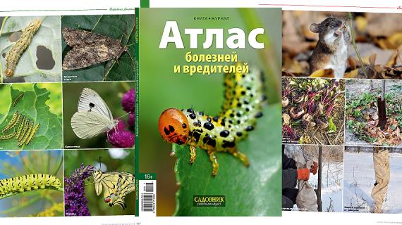 Книга-журнал Атлас болезней и вредителей, октябрь 2018 (32)