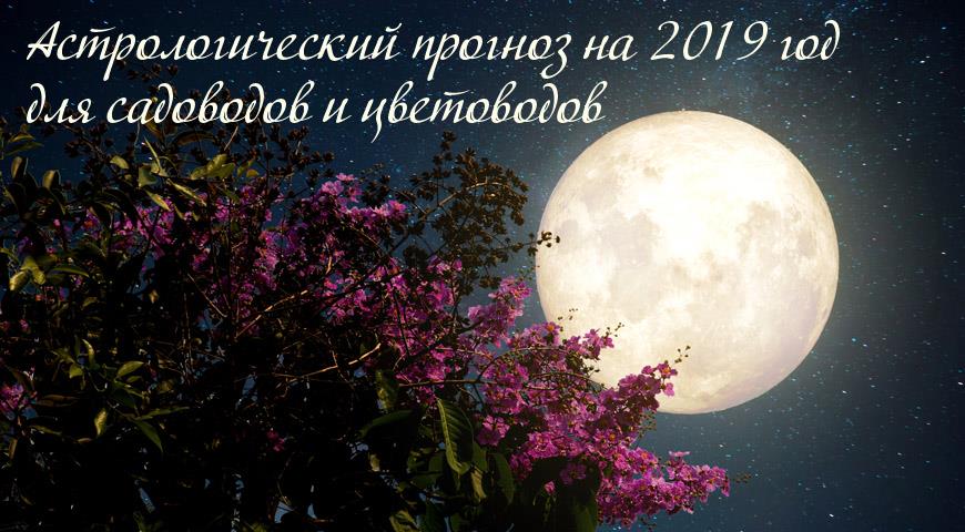 Астрологический прогноз на 2019 год для садоводов и цветоводов