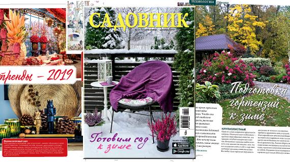 Журнал Садовник № 11–12 (154) ноябрь – декабрь 2018