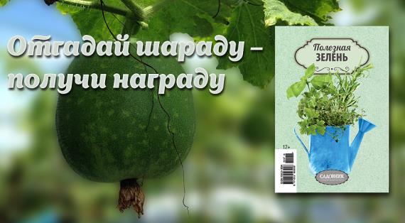 Отгадай шараду – получи награду: конкурс от supersadovnik.ru